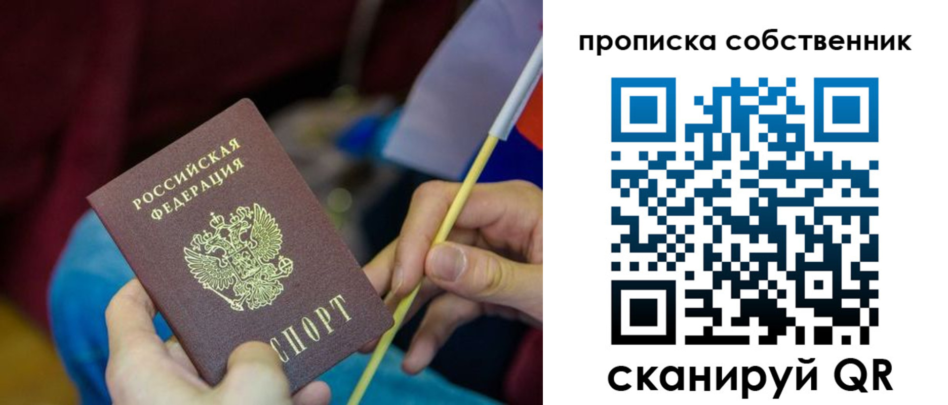 прописка в Чистополье